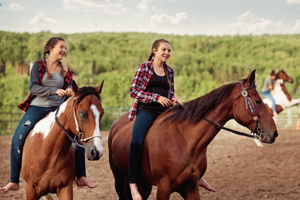 istock Group of young horse riders exercising in a paddock 833342894