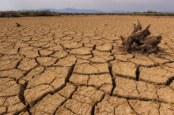 Photo of Drought (arid soil)