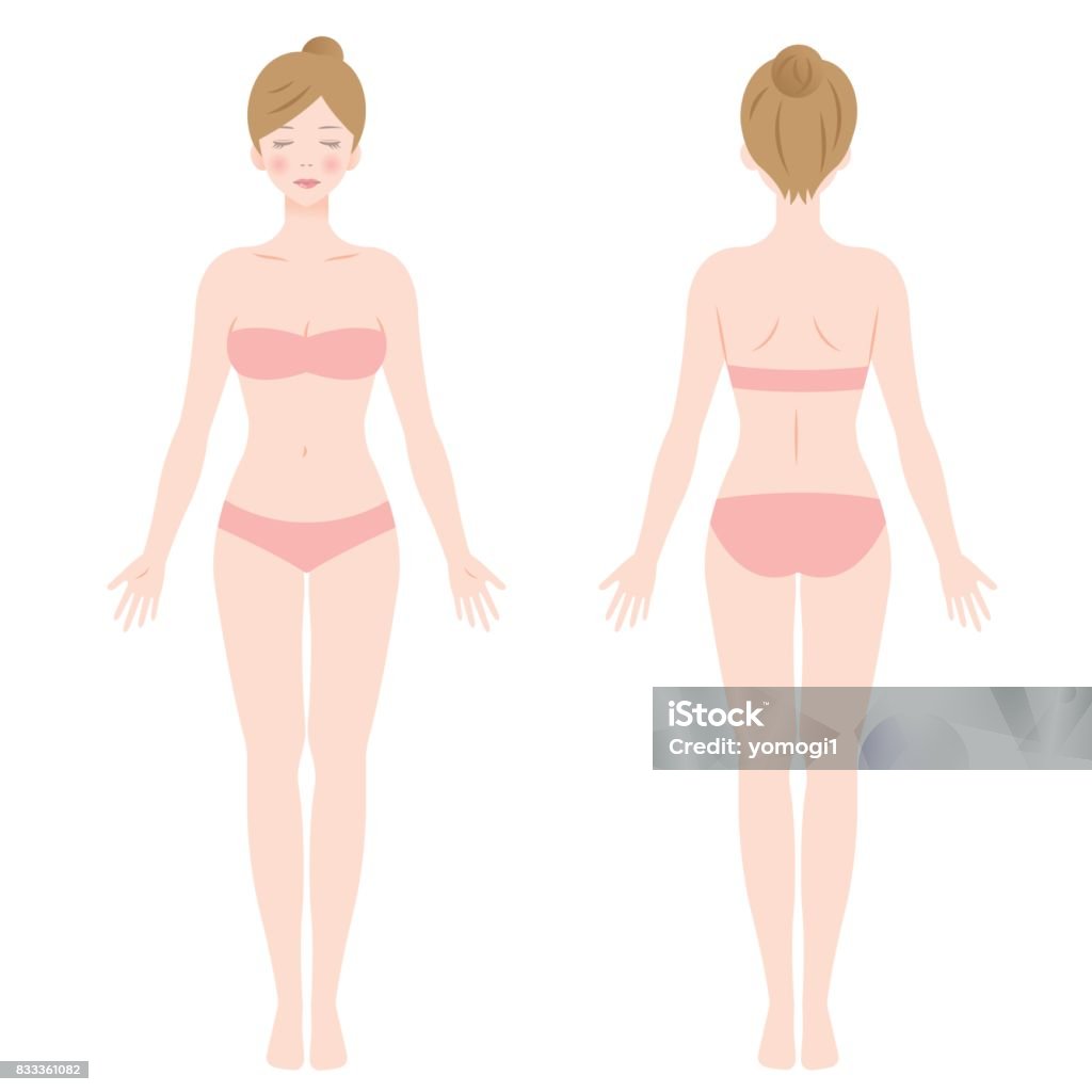 stehende weibliche Körper - Lizenzfrei Menschlicher Körper Vektorgrafik