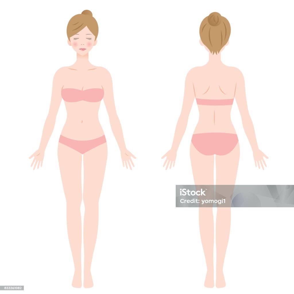 standing female body female body. front and back view. Isolated vector illustration. The Human Body stock vector