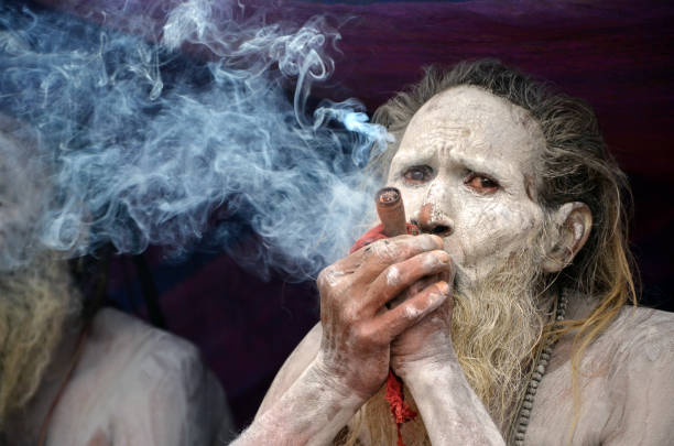holy smoke - sadhu imagens e fotografias de stock