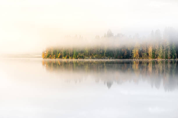 istock Scenic landscape with lake and fall colors at morning light 833383290
