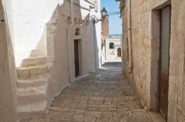 istock Mr Alleyway. Missive chicks. Apulia. Italy. 833383702