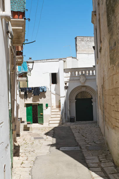 istock Mr Alleyway. Missive chicks. Apulia. Italy. 833395704