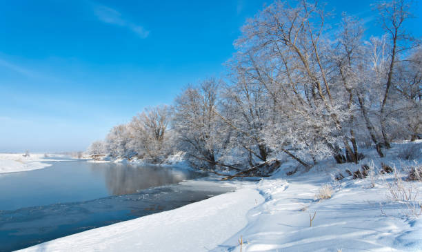 istock winter, winter-tide, winter-time 833407342