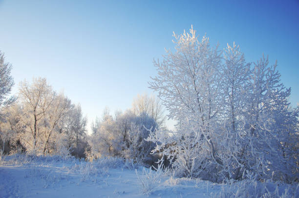 istock winter, winter-tide, winter-time 833408834