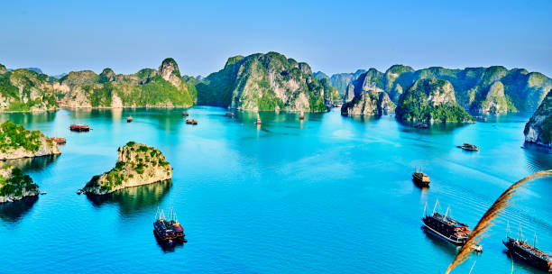 istock beautiful green limestone mountains in halon bay 833414402