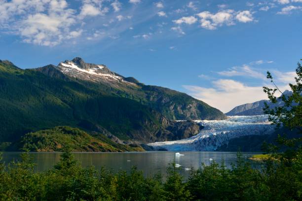 istock Mendenhall Glacier - Juneau Alaska 833421302