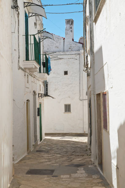 istock Mr Alleyway. Missive chicks. Apulia. Italy. 833426042