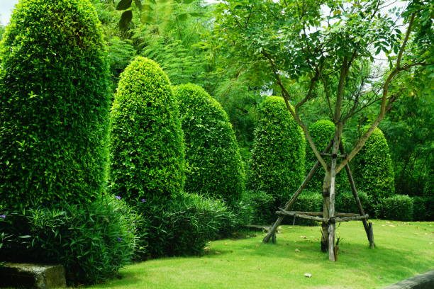 istock Beautiful garden with green trees 833434840