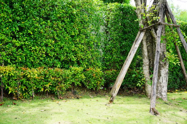 istock Beautiful garden with green trees 833437122