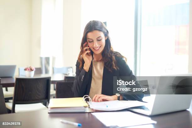 Business Consultant Stock Photo - Download Image Now - Secretary, Assistant, Women