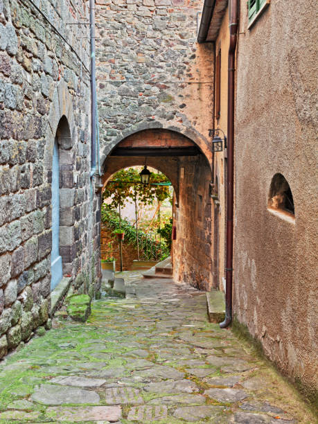 Arcidosso, Grosseto, Tuscany, Italy: old alley and underpass in the old town Arcidosso, Grosseto, Tuscany, Italy: old alley and underpass in the old town of the medieval tuscan village arcidosso tuscany italy stock pictures, royalty-free photos & images