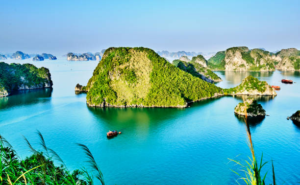 istock beautiful green limestone mountains in halon bay 833446108