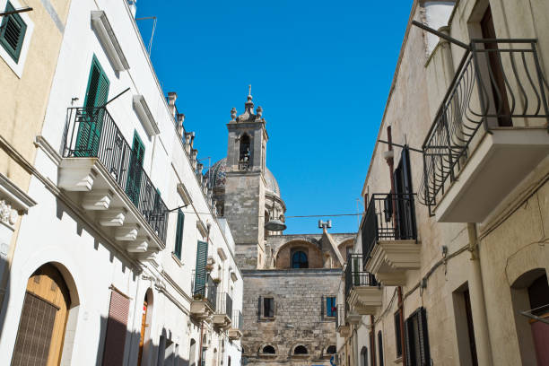 istock Mr Alleyway. Missive chicks. Apulia. Italy. 833455030