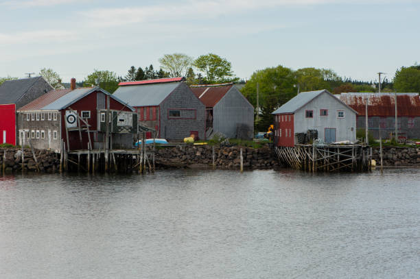 istock fishermen's sheds in the cove 833481534
