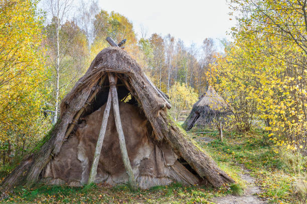 Grass hut in the forest in autumn Grass hut in the forest in autumn thatched roof hut straw grass hut stock pictures, royalty-free photos & images