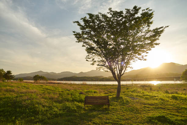 A lonely bench and tree at sunset with mountains in the background.
