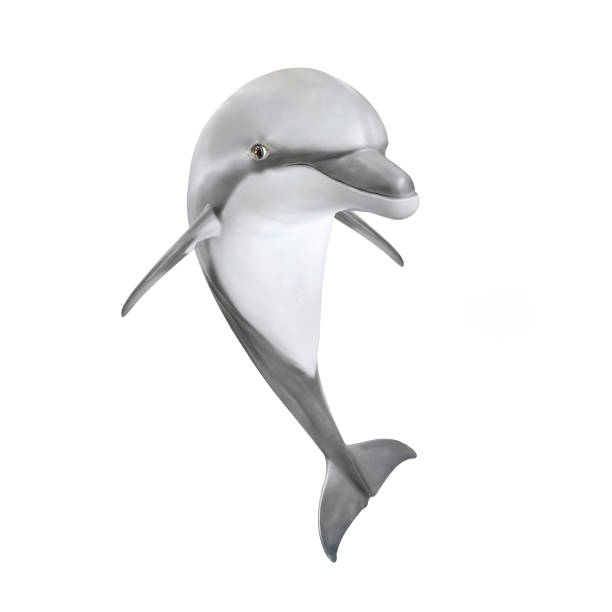 バンドウイルカ - バンドウイルカのジャンプ。 - happy dolphin ストックフォトと画像