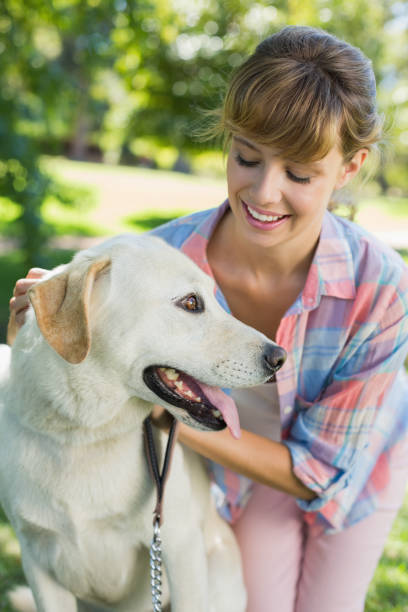 istock Pretty smiling blonde posing with her labrador in the park 833496116