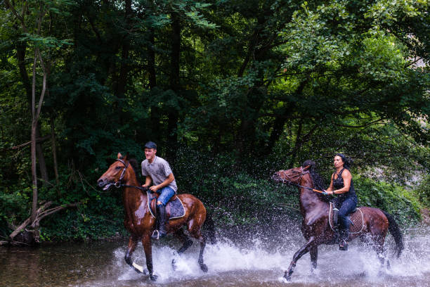 istock Couple gallops horse through stream 833502100