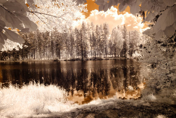 istock reflections in the lake. infrared image 833502134