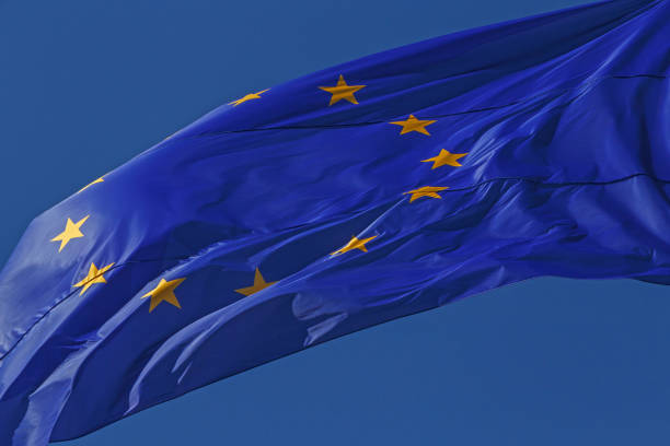 istock waved European Union flag 833511744