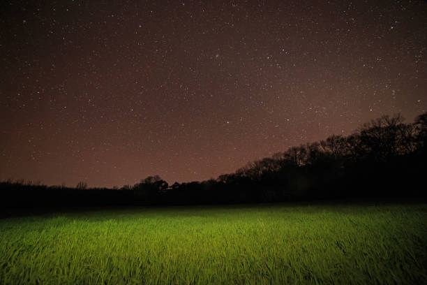 view on lawn in park at night