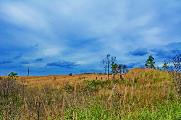 istock Santa Catarina landscapes 833512660