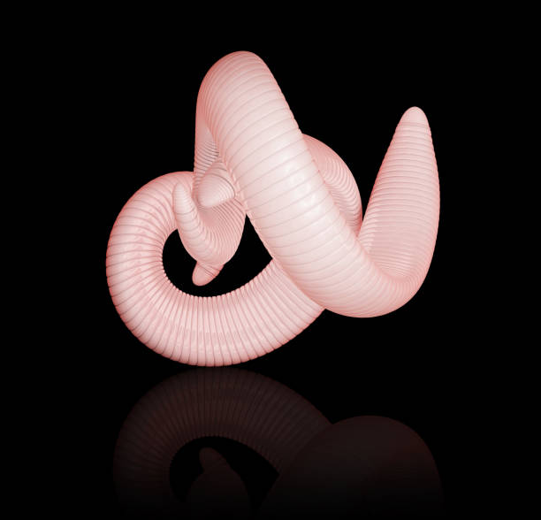 istock A group of Helminths. 3d Illustration isolated black 833523930