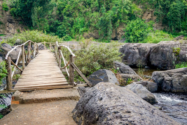 istock Small wood bridge in the forest 833524562