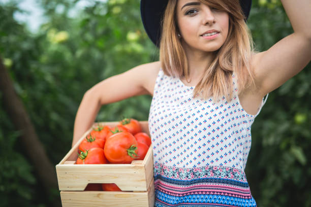 istock Young hipster woman holding fresh juicy tomatoes 833529518