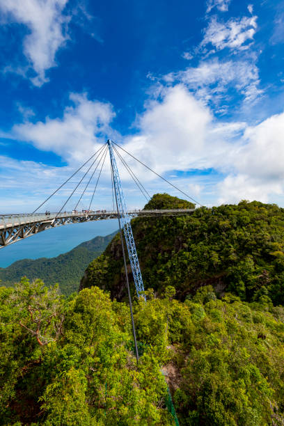 말레이시아 랑카위 스카이 다리 - tropical rainforest elevated walkway pulau langkawi malaysia 뉴스 사진 이미지