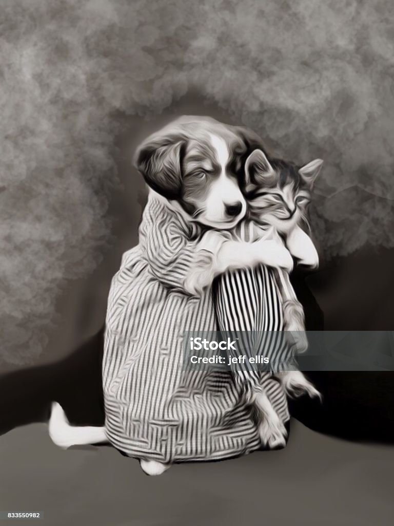 Dog & cat dresses up A dog and a cat are dressed up in people's clothes and poses for the camera a photo from 1897  that is in the public domain that I restored Domestic Cat Stock Photo