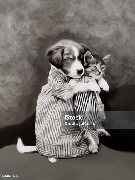 Dog Cat Dresses Up Stock Photo - Download Image Now - Domestic Cat, Old-fashioned, Dog