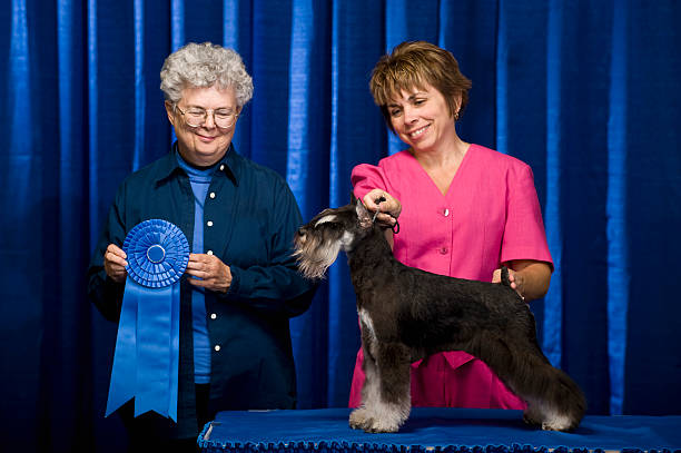 владелец, судья и собака с первое место ленты - best in show стоковые фото и изображения