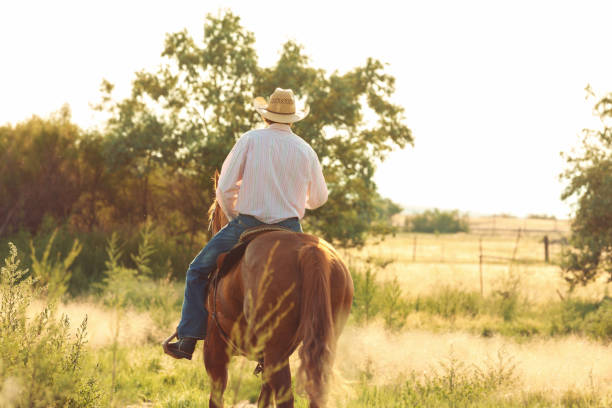 istock Cowboy riding through the field 833574418
