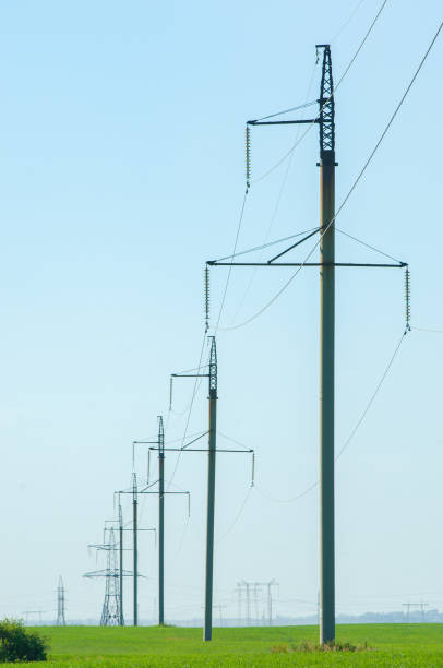istock Poles for electricity supply 833578012