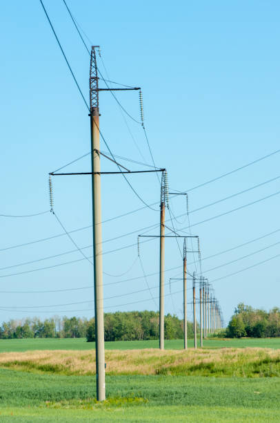 istock Poles for electricity supply 833578676