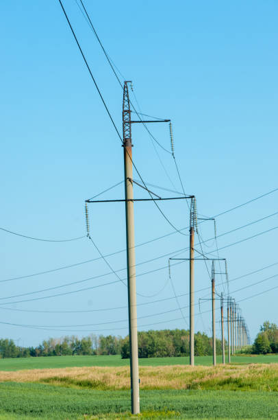 istock Poles for electricity supply 833578684
