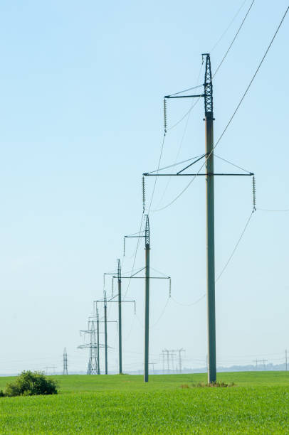 istock Poles for electricity supply 833578704