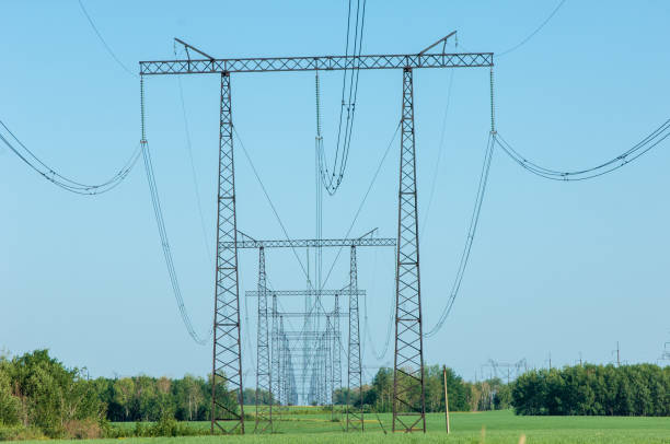 istock Poles for electricity supply 833578714