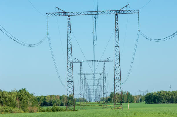 istock Poles for electricity supply 833578760