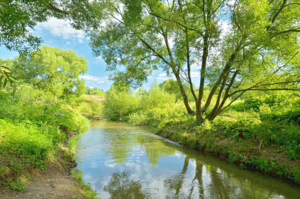 istock Summer natural landscape. 833585856
