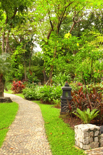 istock Path and a lantern in an ornamental tropical garden 833586816