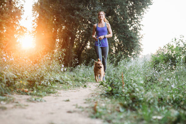 istock Woman Jogging With Dogs 833586850