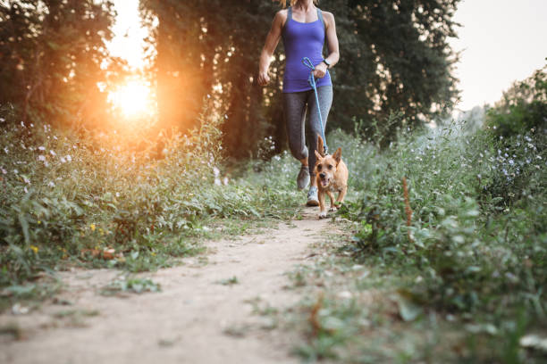 istock Woman Jogging With Dogs 833586852
