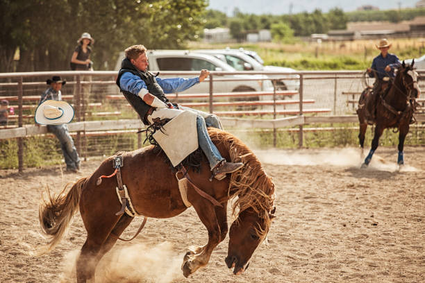 istock bucking bronco at the rodeo 833598112