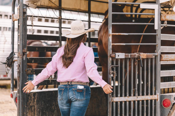 descarga el caballo de trailer - 6727 fotografías e imágenes de stock