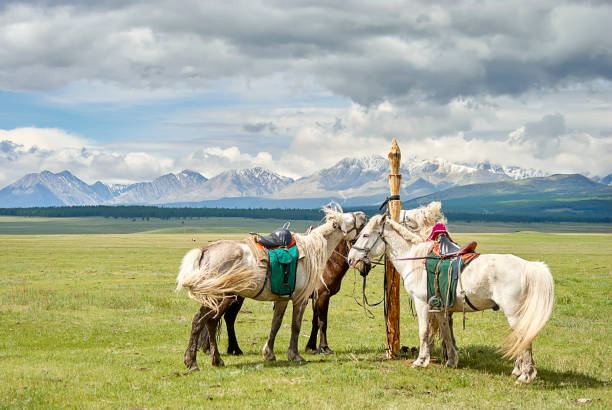 Saty Village, Kazakhstan - June 3, 2017: Kazakh musical instrument of Dombra on a carpet with a man on horse in the background, in Saty Village, Kazakhstan.